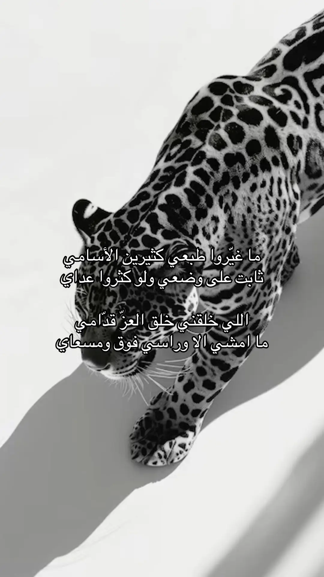 #foryou #fyp #f #قطر 