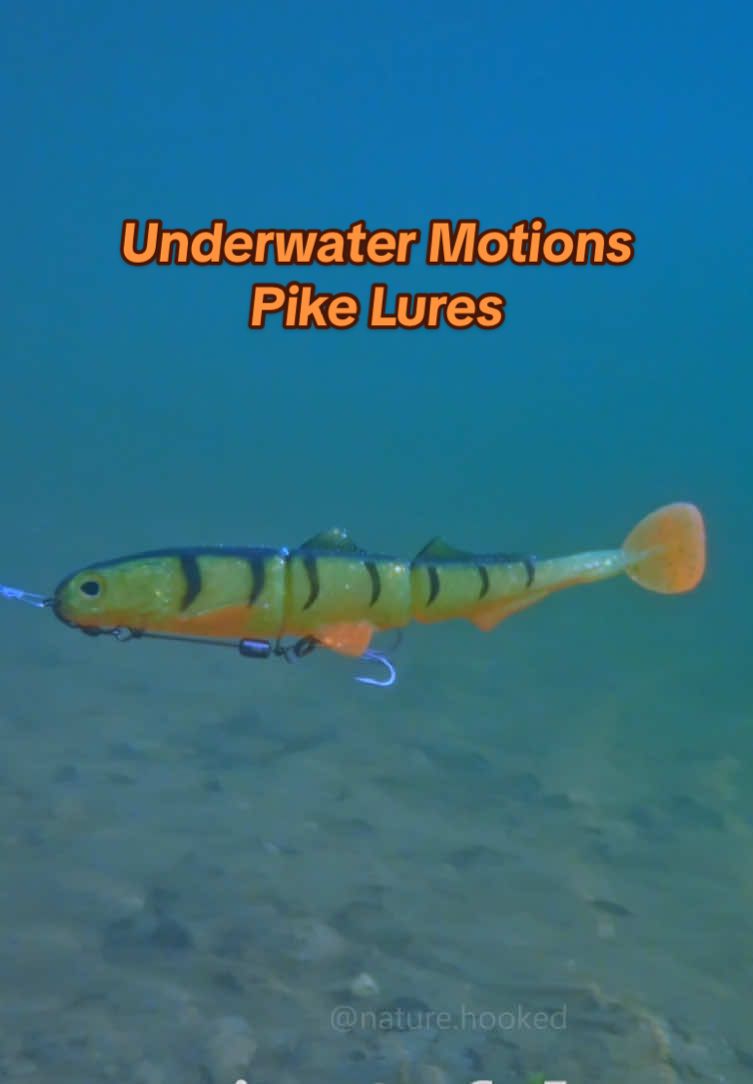 Underwater Motions of different Lures (Pike Edition) #pikefishing #pikelures #fishinglures #hechtangeln #underwatertiktok #fishingtiktoks #naturehooked 
