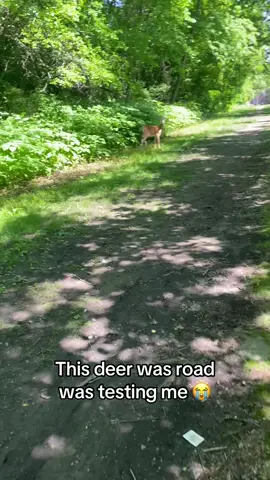 The deer went 👁️👄👁️@Barstool Outdoors (Via:@Reek)