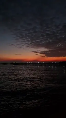 🎼🖤🌊