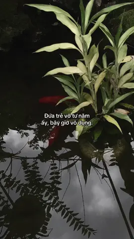 …#tamtrang #story 