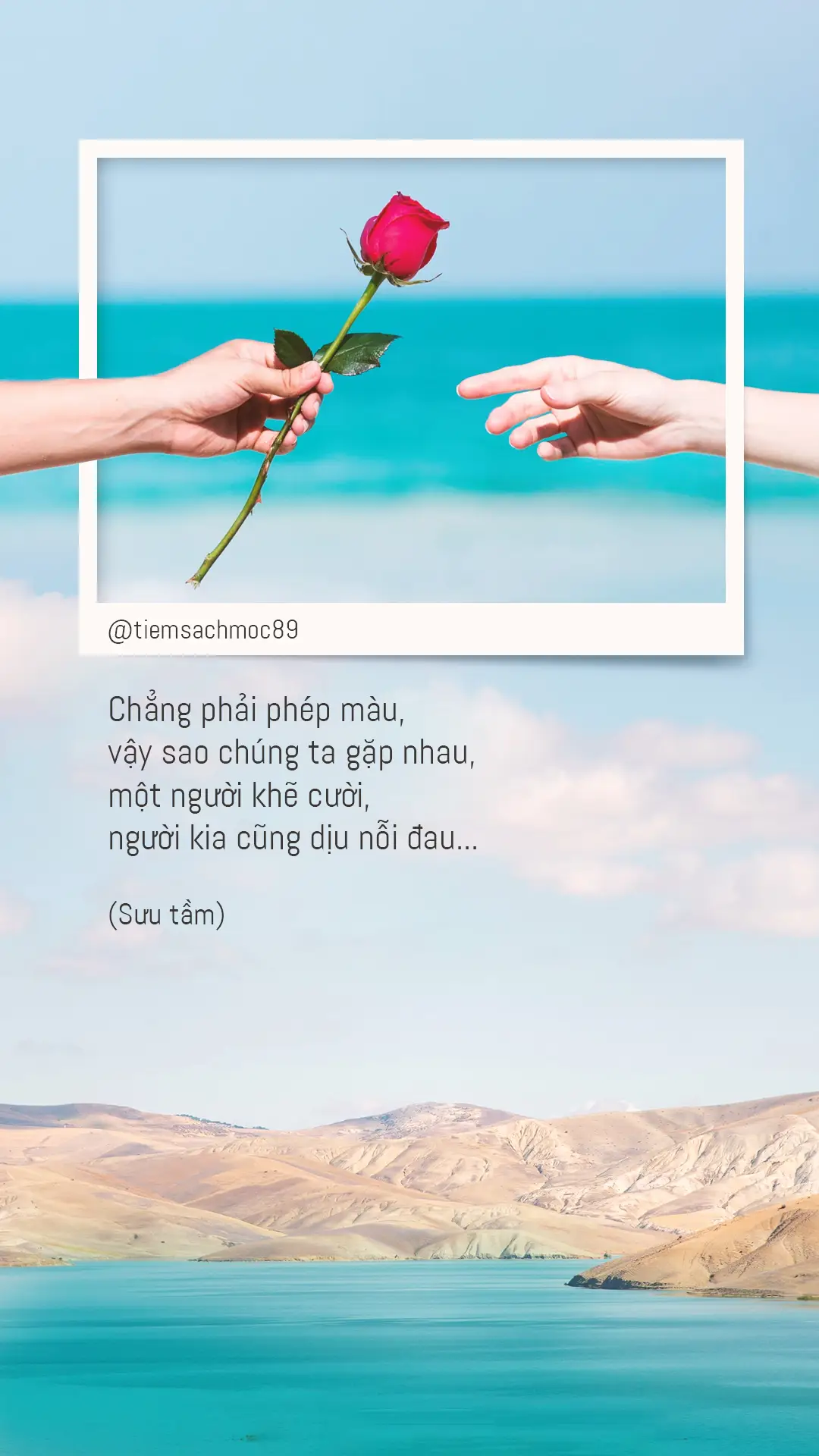 Chẳng phải phép màu vậy sao chúng ta gặp nhau #tiemsachmoc89 #fyp #foryou #status #tamtrang 