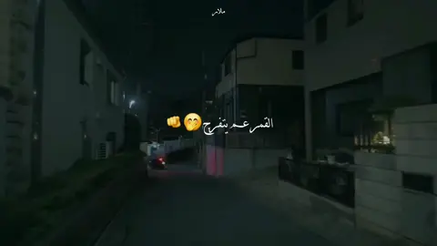 طلی یا قمر الليالي 🫶🤍 حط السماعات 🎧 #اغاني #موسيقى #ليال_عبود #طلي_ياقمر_الليالي #اعراس #fyp #vairal #تصميم_فيديوهات🎶🎤🎬 #تصميمي #مالي_خلق_احط_هاشتاقات🧢 