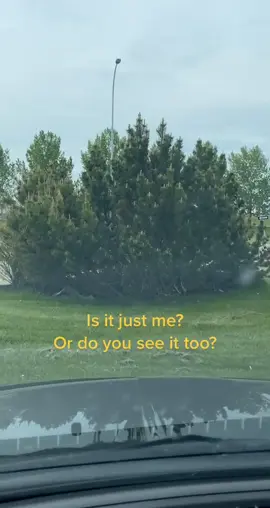 😂  #fuckyou #fuckoff #bush #spring #canada 