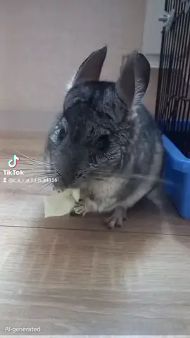 Спасибо за 9 тысяч подписчиков🥳