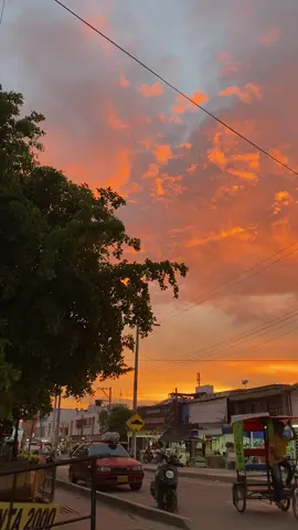Mi Bosconia😍
