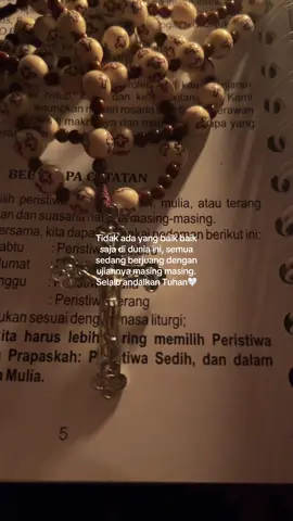 Doa Rosario hari ke 28✨ Bunda Maria Doakanlah kami🥹 #fyp #katolik #katolikku_keren #rosario #bundamaria 