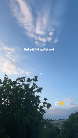 ☀️🕊️ 🎶Tara Mamedova| Gulşirine #huzur #tandir #video #kurdish 