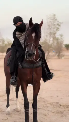 ولك منزل في نايف القلب وخيام .. وذود الغلا ترعاه ولا شكيتك 🤍 #جبد #خيل_وخياله🐎 #خيل_عربي_اصيل #اغوى_كويتيين🇰🇼 #مربطtnt🧨 ##الكويت #fypシ #kuwait 