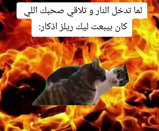 #الشعب_الصيني_ماله_حل😂✌️ #سودانيز_تيك_توك_مشاهير_السودان🇸🇩 #creatorsearchinsights2024 #متابعه_ولايك_واكسبلور_احبكم 