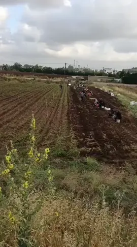 #شعب_الصيني_ماله_حل😂😂 