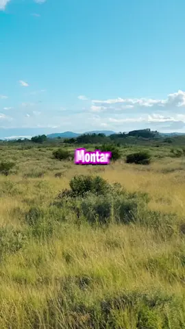 #VTuber #VTuberES #vtuberespañol #debut #humor #ponmeenparati #tiktokviral #Viral 