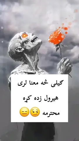 #creatorsearchinsights #creatorsearchinsights #creatorsearchinsights #🇦🇫تاجک__اوزبگ__🇦🇫پشتون__🇦🇫هزاره🇦🇫__ترکمن 