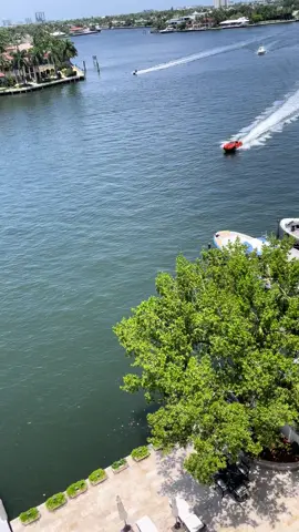 Get it buddy #fyp #fastandfuriousfamily 