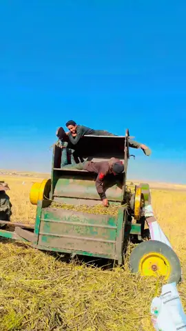 الشعب الصيني مال حل