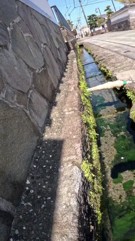 🇯🇵 Did you know? In Japan, even street drainage is regularly cleaned and maintained. It's part of a culture that values hygiene, respect, and community responsibility. 🌏✨ #CleanJapan #CleanCulture #JapanClean #CleanDrainage #OnlyInJapan #JapaneseCulture #CleanestCountry #SatisfyingClean #RespectJapan #CleanStreets #UrbanAesthetic #ViralVibes #FYP #DailyJapan #TikTokJapan #CityGoals #SatisfyingVideos