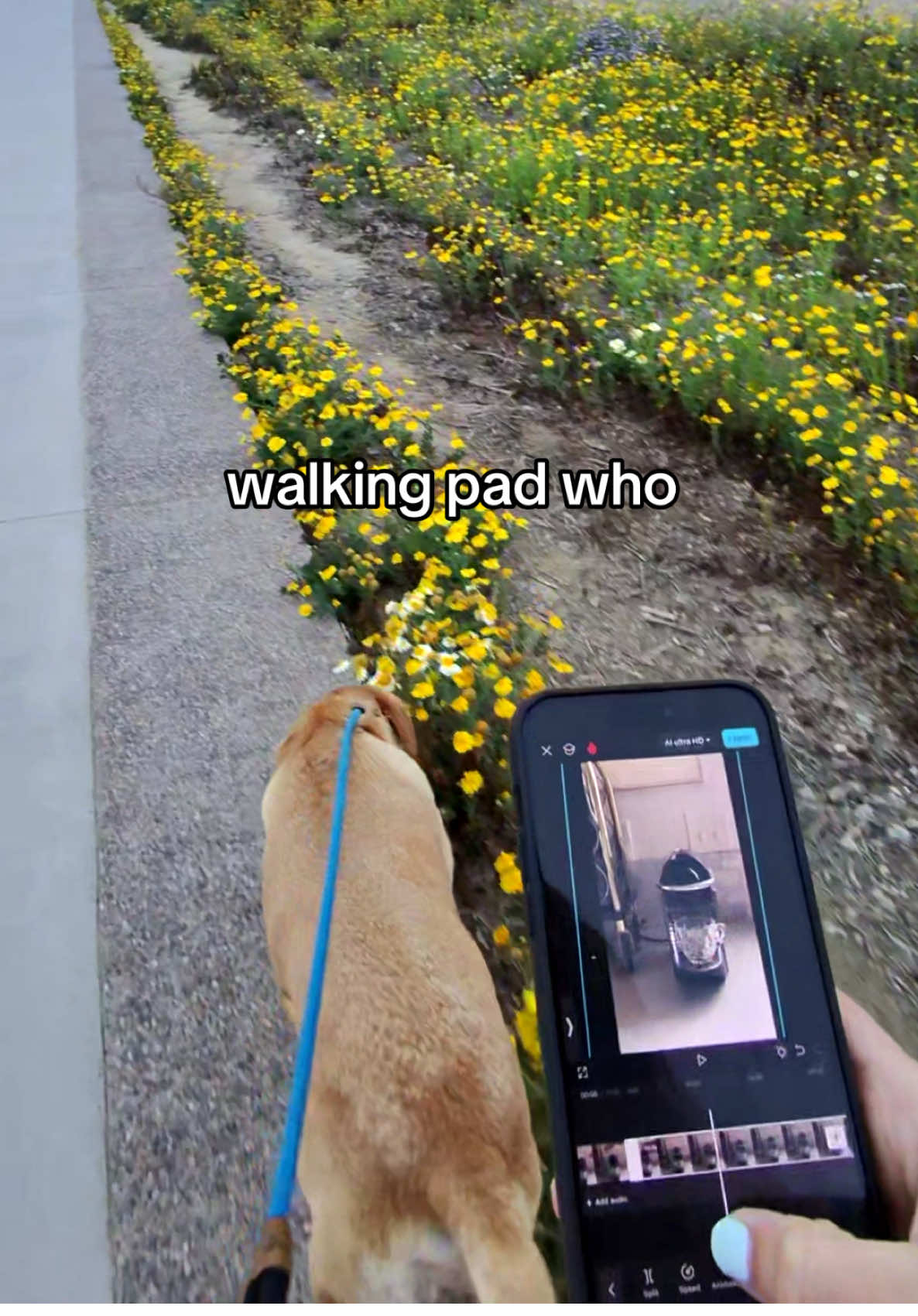 editing on the go >>>