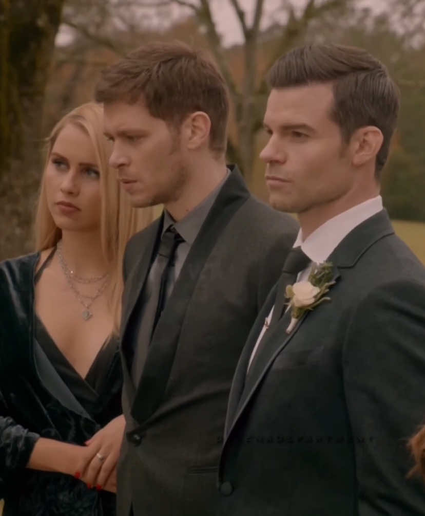 #THEMIKAELSONS || Who’s ur favourite original? || This took me SEVEN HOURS || scp: @aya @supremacyscenes @tvds.logoless on insta @ㅤ|| overlay: @| 𝐀𝐒𝐆𝐕 𝐎𝐕𝐄𝐑𝐋𝐀𝐘𝐒 | #theoriginals #theoriginalsedit #tvd #tvdu #thevampirediaries #thevampirediariesuniverse #esthermikaelson #mikaelmikaelson #freyamikaelson #finnmikaelson #elijahmikaelson #klausmikaelson #niklausmikaelson #kolmikaelson #rebekahmikaelson #dahliahagen #joshrosza #marcelgerard #giatheoriginals #camioconnell #hayleymarshall #hayleymikaelson #hopemikaelson #fyp #delenadepartment 