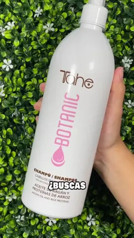 Champú y Mascarilla para cabellos teñidos y secos Botanic, indicado para proteger el color y revitalizar la fibra capilar, con aceite de argán, proteínas de arroz, provitamina B5 y extractos activos de plantas. 🌾🌿 Si eres profesional consulta las ofertas y promociones que tenemos para ti. Video cortesía de @laos.beauty  #tahe #TaheSV #TaheElSalvador #crueltyfree #welovetahe #champu #shampoo #mascarilla #tratamiento #cabelloteñido #cabellodañado #cabellosano #cuidadocapilar #cabellolargo #cabelloseco #hidratacioncapilar #reparacion #efectoinstantaneo #hair #hairstyle #haircolor #hairdye #fashion #capilar #tratamientos #productoscapilares #salondebelleza #peluqueria #distribuidor #EstilistasElSalvador 
