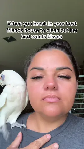#talkingbird #CleanTok #cleaningtiktok #cleaning 