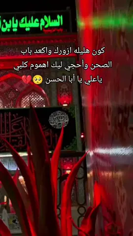 كون هليله ازورك واكعد باب  الصحن وأحجي ليك اهموم كلبي  ياعلي يا أبا الحسن 🥺💔#fyp #عبيس💸 