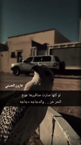 #CapCut #هلاياشيخ_الكرم_يمعراب_الجدين 