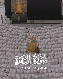 الحج هو جنة لمن تعمّق في قلبه حُب الله والتألّق به، يا الله نسألك ألا تحرمنا أجر من حج بيتك الحرام. #سورةالبقرة #سورة_البقرة #رعد_الكردي #رعدالكردي #مكةالمكرمة #الحج #الحجاج #الكعبة_المشرفة #الكعبة haj# #alhaj