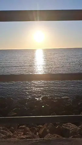 #صلامندر مستغانم 
