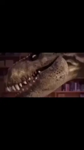 #fyp #foryou #fypシ #foryoupage #الشعب_الصيني_ماله_حل😂😂 #explore #اكسبلور #اكسبلورexplore #قرود_الطايف #ميمز #memes 