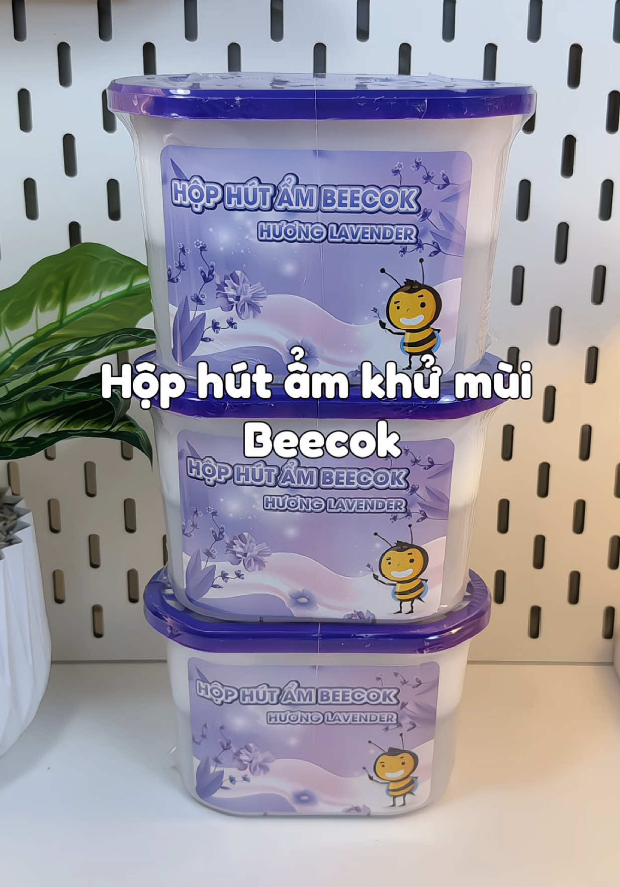 Mùa mưa mùa nồm thì trong nhà không thể thiếu hộp hút ẩm khử mùi này #linhhriviu #beecok #hút_ẩm #khử_mùi #hophutam #unboxing #asmr #dondepnhacua#dondepnhacuakshop 