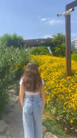 Bir Bahardır🤍✨ #fyp #baku #viral #foryoupage #trending #viralvideo #keşfet #kesfetteyiz #kesfetbeniöneçıkart 