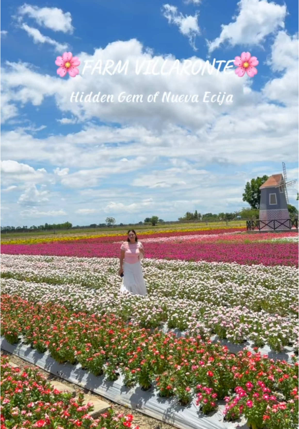 Northern Blossom Flower Farm feels in Nueva Ecija🌸 📍 llang-ilang 2, San Francsico, San Antonio, Nueva Ecija. -open everyday from 6:30am to 6:00pm -entrance fee is 50pesos #nuevaecija #farmvillaronte #flowerfarm #wheretogoinnuevaecija #fyp #nuevaecijana