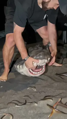 I RECORD THIS SCARY CREATURE #beach #shark #mutant #creature #scary #horror #weird #weirdcore #ai #aiartwork #fyp #goviral 