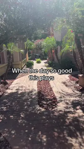 #neweridu #zzz#zenlesszonezero #calm #Summer 