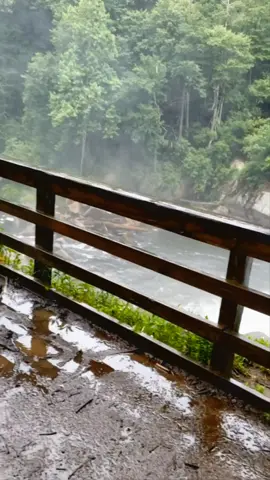 Rainbow Falls in North Carolina #fyp #waterfall #asmr #travel #nature #Hiking #naturelover #chasingwaterfalls #hikingadventures #oldtiktok #photography #naturevibes #hikingtiktok #traveltiktok 