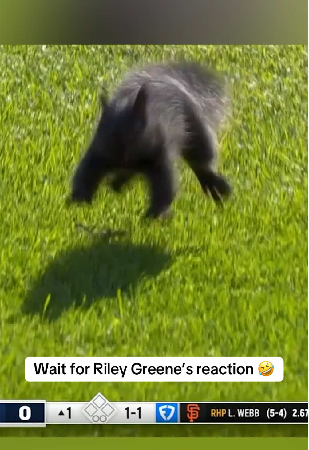 A squirrel ran on the field at Comerica Park 😂 #MLB #baseball #animal #squirrel 