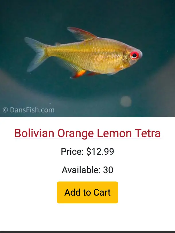 I wanted to highlight 5 fish that I thought looked extra good at Dansfish. The two rice fish were so good I bought 6 of each. Likely to go quick as the numbers are low. I almost ordered some of the Orange Lemon tetras, they look better in person than the picture for sure. Cherry red tetras are on my list to keep as well. Also the Panda Garras are one of my favorites and look really good. Use code: aquariumcoop to save 5% if you order, we also get a commission. I was really impressed with Dan's team. https://dansfish.com/ref/aquariumcoop https://dansfish.com/ref/aquariumcoop https://dansfish.com/ref/aquariumcoop https://dansfish.com/ref/aquariumcoop https://dansfish.com/ref/aquariumcoop https://dansfish.com/ref/aquariumcoop https://dansfish.com/ref/aquariumcoop https://dansfish.com/ref/aquariumcoop https://dansfish.com/ref/aquariumcoop https://dansfish.com/ref/aquariumcoop https://dansfish.com/ref/aquariumcoop https://dansfish.com/ref/aquariumcoop https://dansfish.com/ref/aquariumcoop https://dansfish.com/ref/aquariumcoop