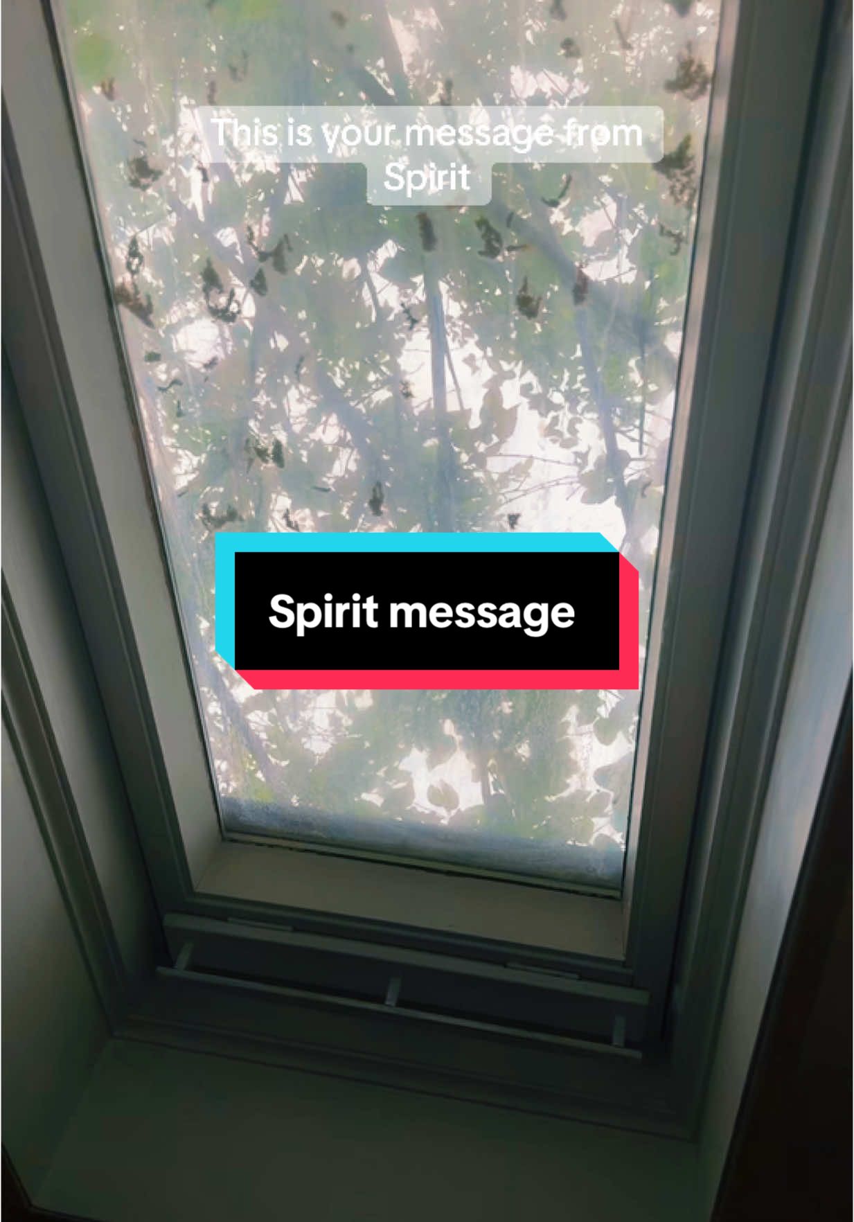 #spiritmessages #spiritmessagesforthecollective #dailyenergyreportswithharmony #dailyenergyreports #tarotok🔮 #raiseyourvibration🧿 #spirittarotmessages #positiveenergyreading #dailyspiritmessagewithharmony 