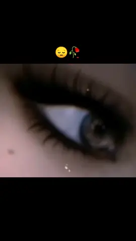 #الشعب_الصيني_ماله_حل😂😂 