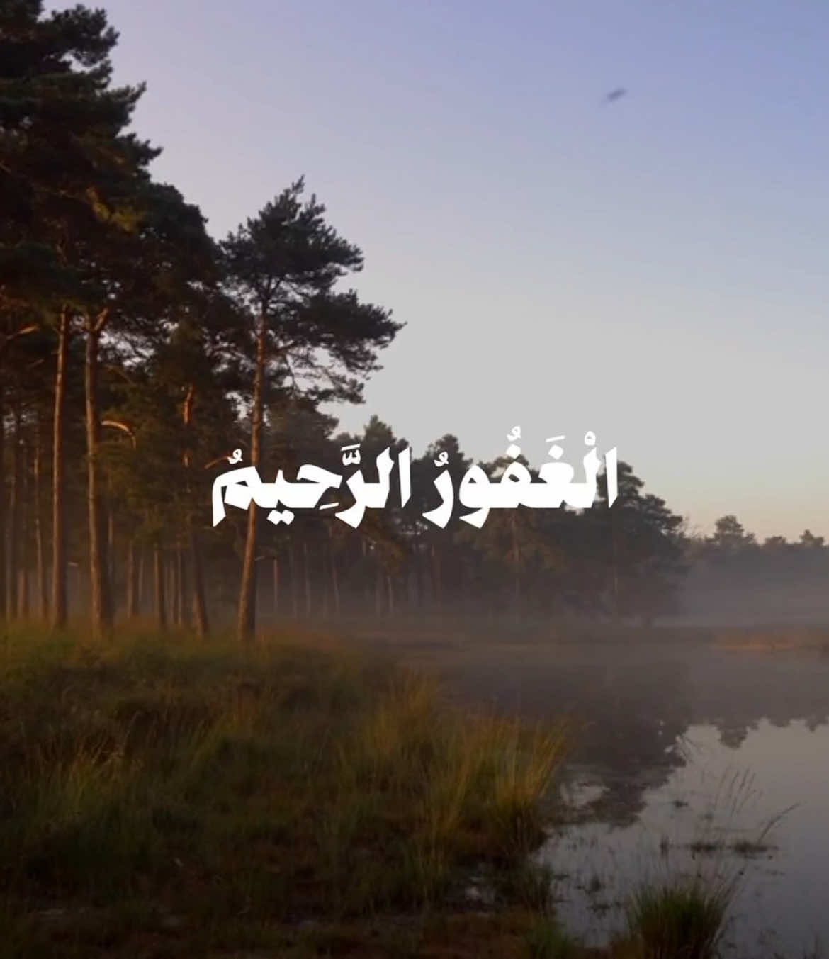 قال رب اني ظلمت نفسي فاغفر لي || حساب وقناة القران بالبايو - #قران #quran 