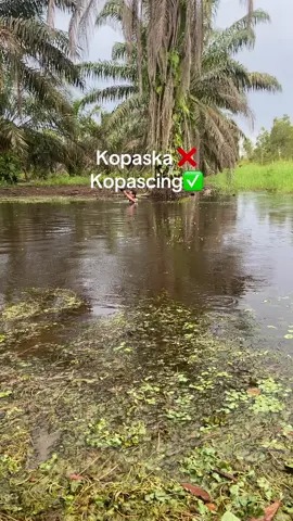 Demi ikan kami kan berjuang #castingerindonesia #snackheadindonesia @mafia iclik💦²² 