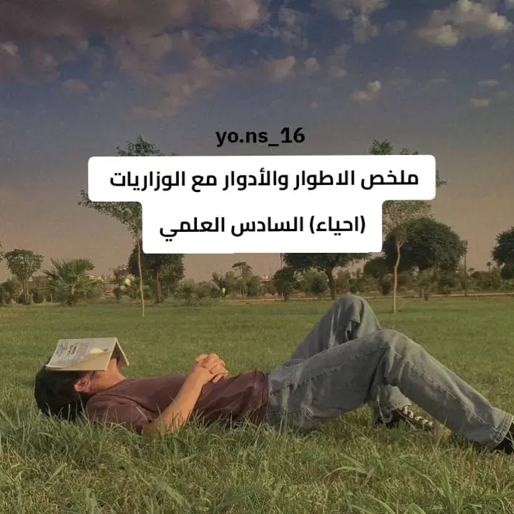 تفيدكم👍🏻💪🏻🤍 #السادس_علمي #foryou #fyp 