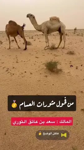 #مثورات_العسام #تلاد_الوضح #الثوري #بن_عاتق #الكسبلور #الوضحا_الشناح #اكسبلوررررر 