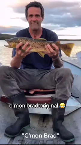 c'mon brad original #meme #orginal #brad #fyp #funny