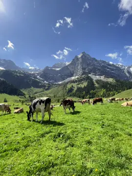 When you hear this sound you know you’ve arrived in heaven🏞️ #nature #real #dream #views #free #fyp #viral #sunset #summervibes #Sonnenuntergang #Summer #warmersommer #hike #alps #mountains #scenery #mountain #explore #gorpcore #Hiking 