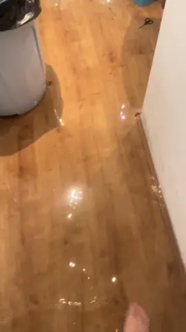 vamos ter um pomsky num apartamento vai ser tranquilo #foryoupage #pomsky #dog 