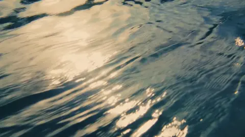 Latto - Somebody #fypp #foryou #music #video #musicvideo #Latto #Somebody #virall2025 