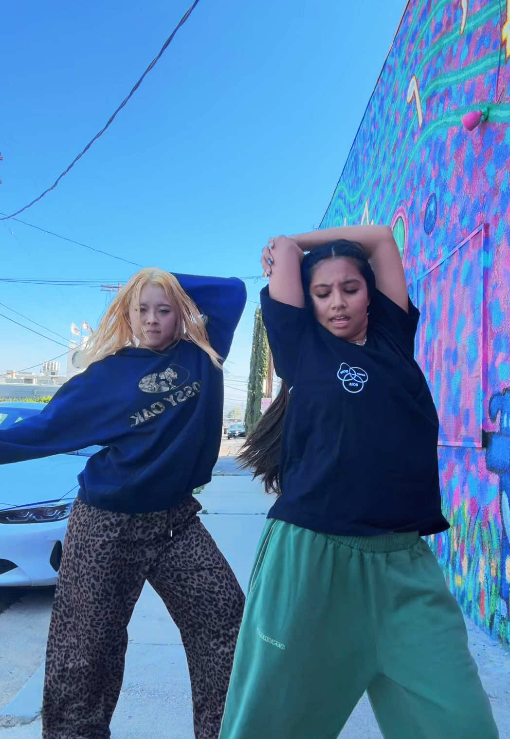 been dying to learn this oneeee @momo Dc: @dylansmovin 