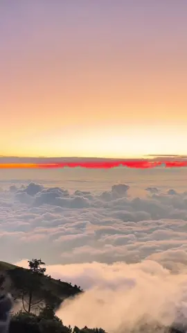 lautan yang kumaksud #pendakigunung #merbabu #merbabuviasuwanting #awan 
