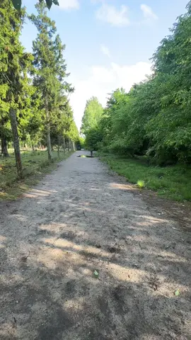 #hunde #hundevideos #dog #dogsoftiktok #fürdich #fyp 